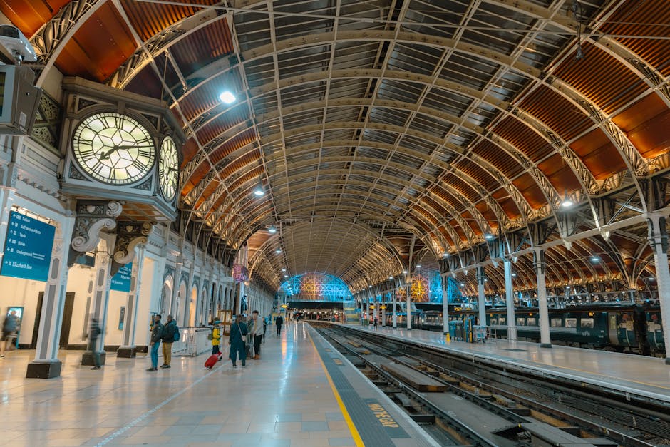 Same-day vs scheduled Paddington removals: quick guide